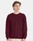Hanes Unisex EcoSmart Crewneck Sweatshirt for Casual, Cozy & Everyday Comfort Wear